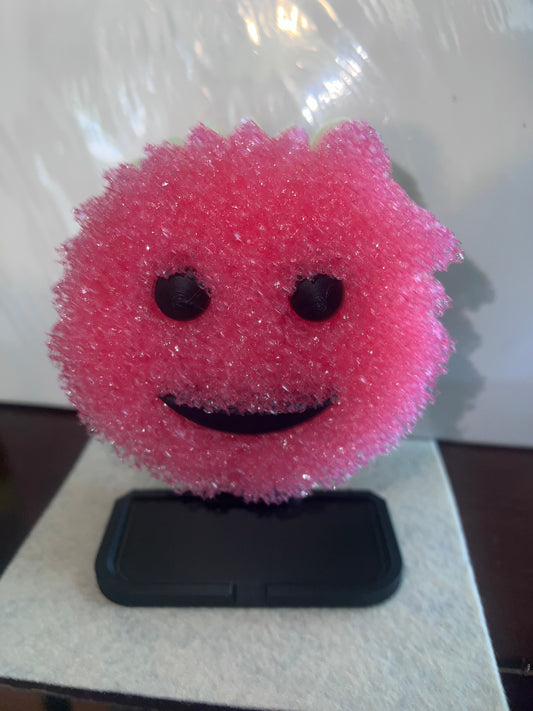 Sponge Holder