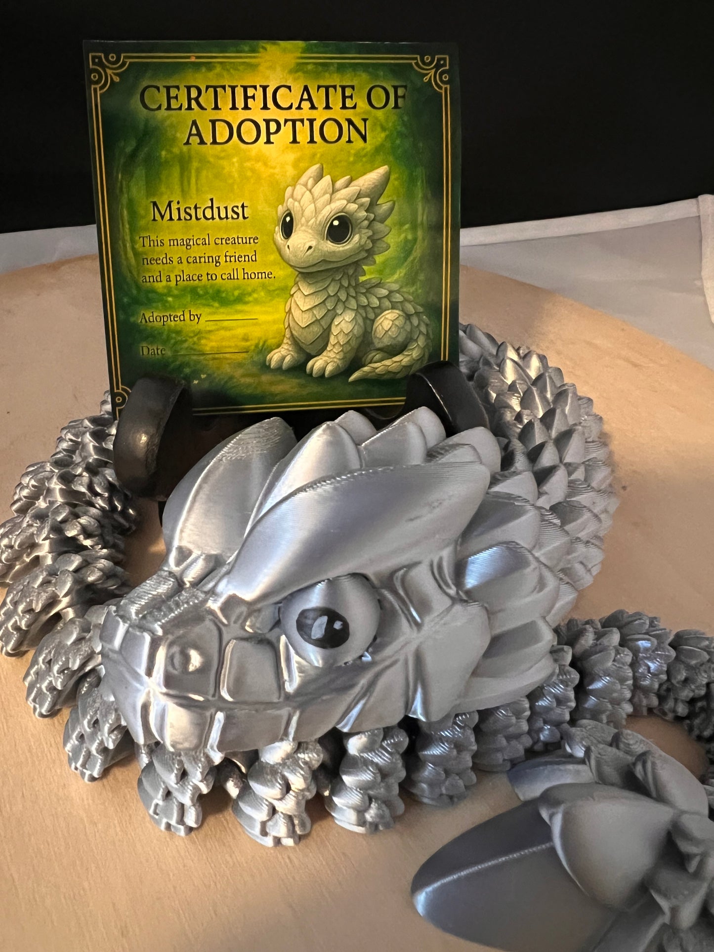 Adopt a Dragon