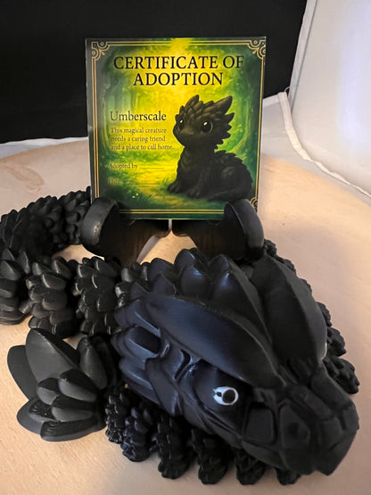 Adopt a Dragon