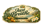Handcrafted Hanging Air Freshener | Essential Oil Home & Car Diffuser