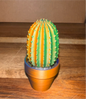 Cactus (Fidget Clicker)