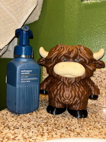 Soap Holder’s