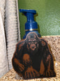 Soap Holder’s