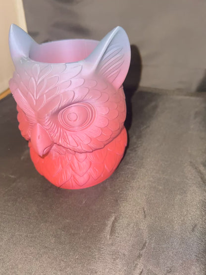 Owl Pen Pencil Desk Organizer